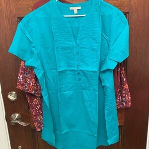 Woman Within Teal Blouse